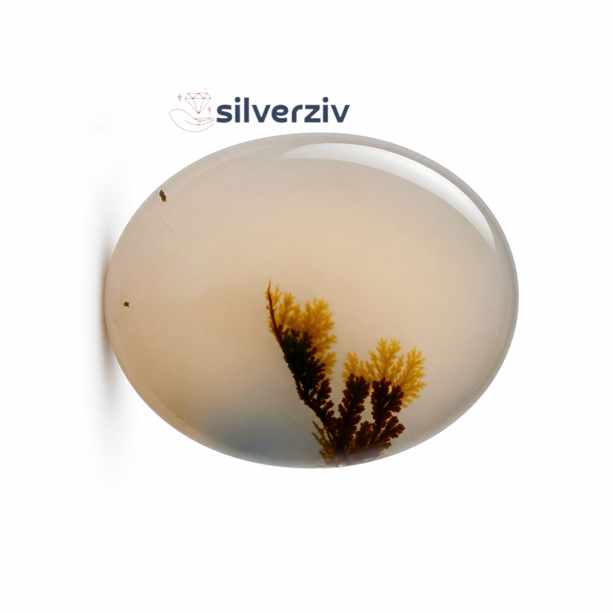 شجر تکدرخت  رنگی کلکسیونی  |silverziv