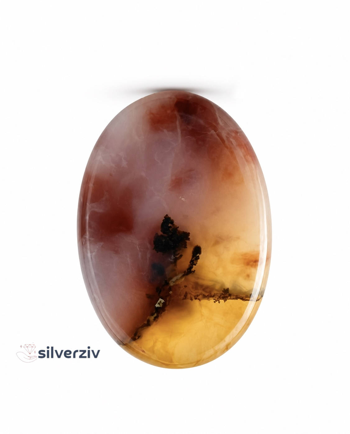 شجر مصور رنگی کلکسیونی | silverziv
