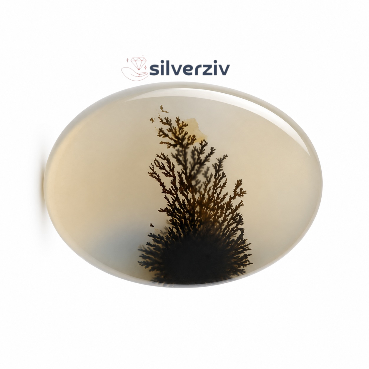 شجر تک درخت کلکسیونی |silverziv