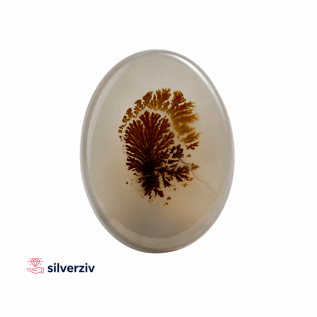 شجره تکدرخت رنگی کلکسیونی| silverziv