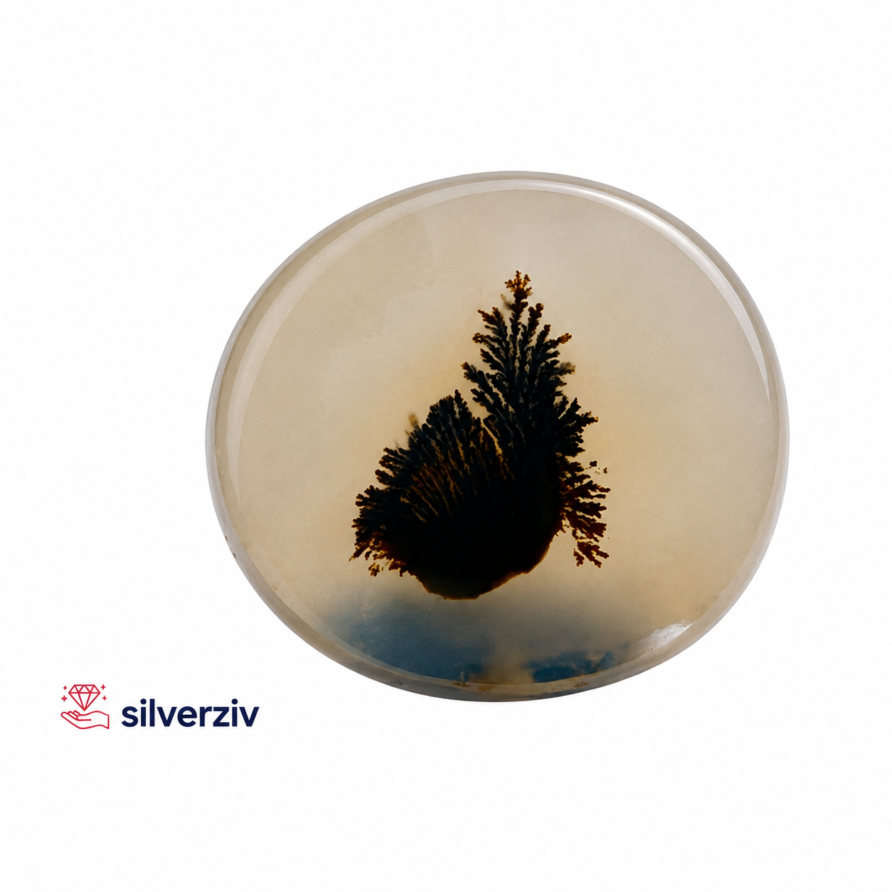 شجره تکدرخت کلکسیونی/silverziv