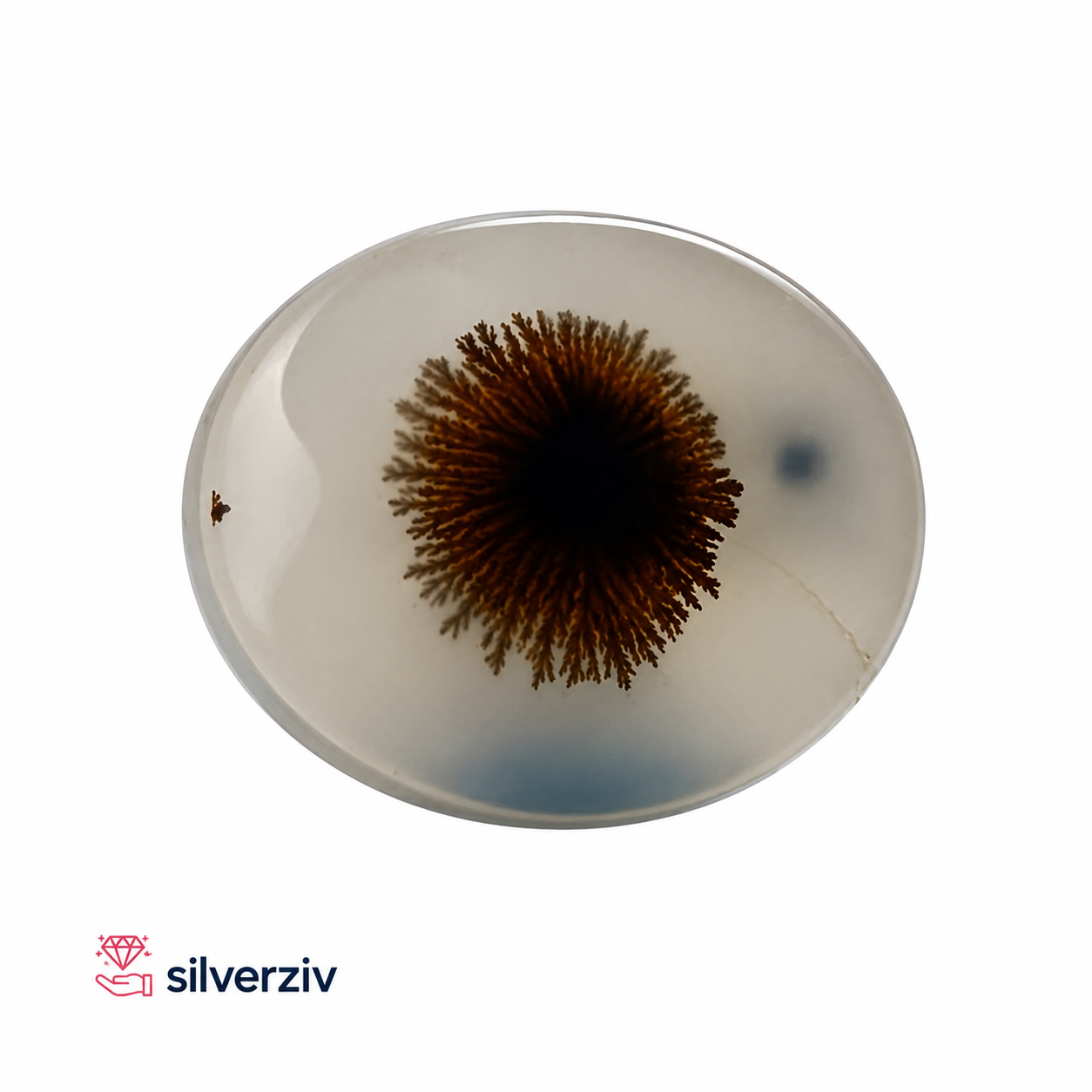 شجره مصور کلکسیونی/silverziv