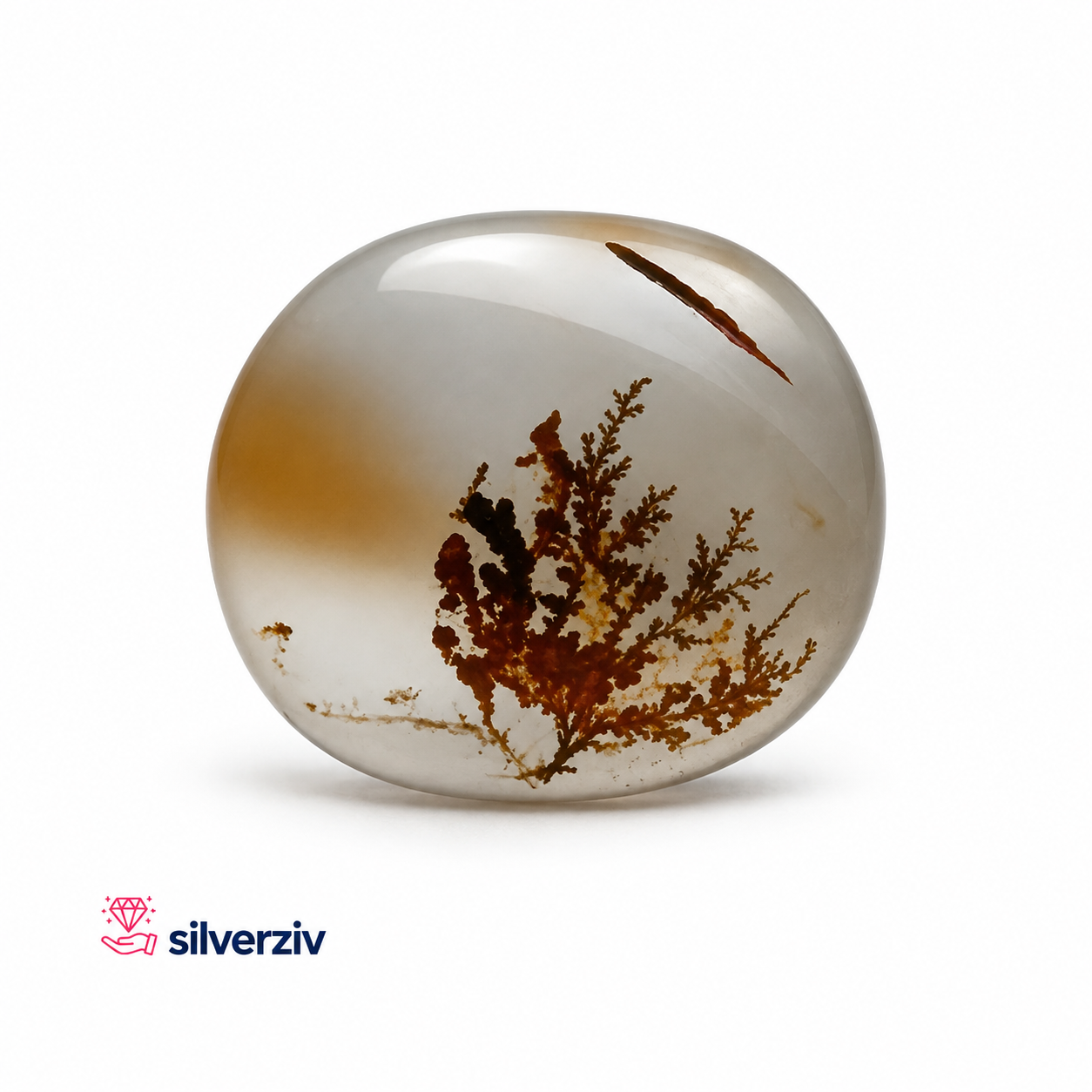شجره تک درخت خاص کلکسیونی| silverziv