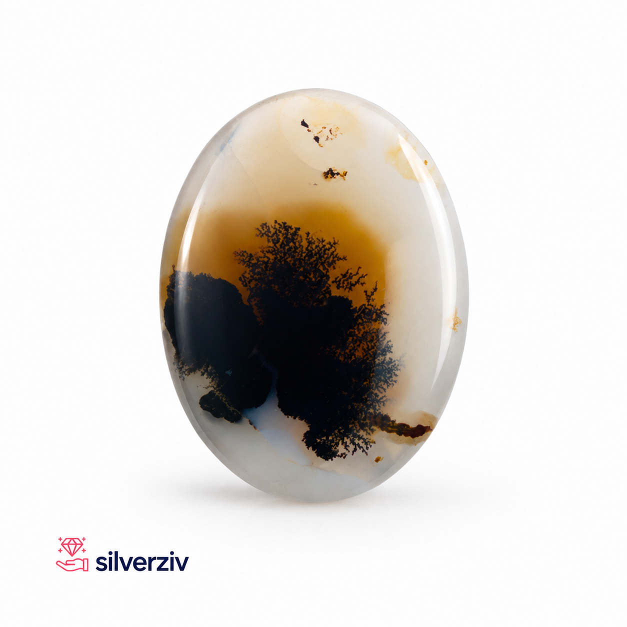 شجره مصور رنگی کلکسیونی| silverziv